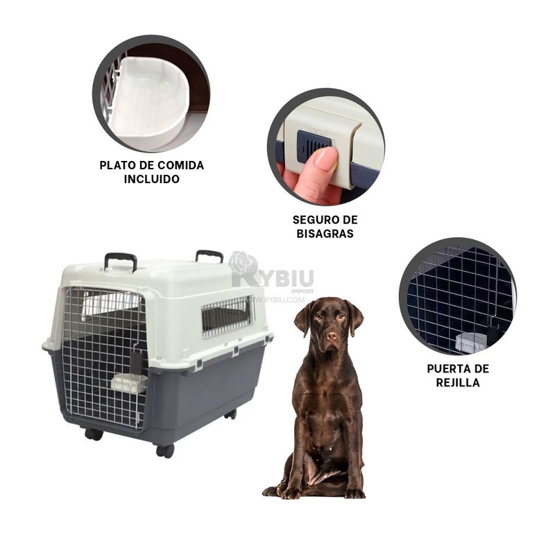 GENERICO - Contenedor para Viaje de Perro Plomo Y+Regalo Agendita