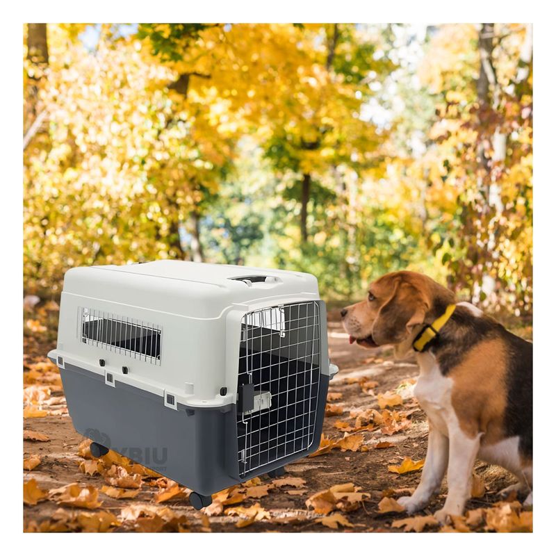 GENERICO - Transportador Ideal para Perro Plomo Y+Regalo Stickers