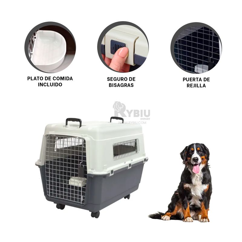 GENERICO - Contenedor Moderno de Mascota Plomo Y+Gift Stickers