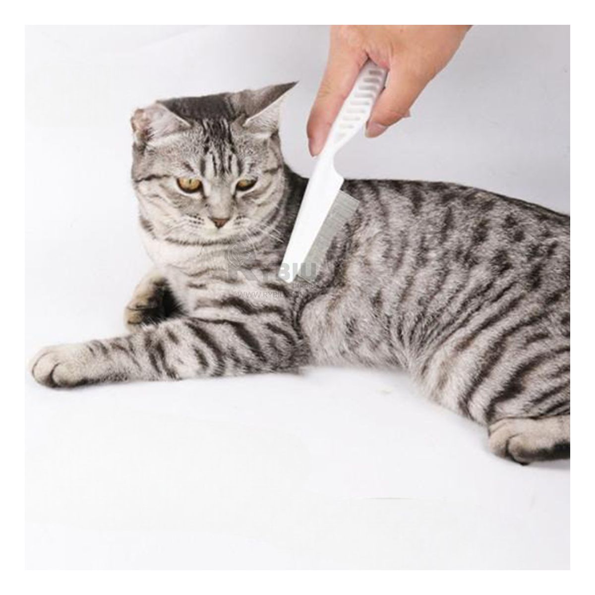 GENERICO - Peinilla de Pelaje Variado Blanco Y+Regalo Ligas para Peinar