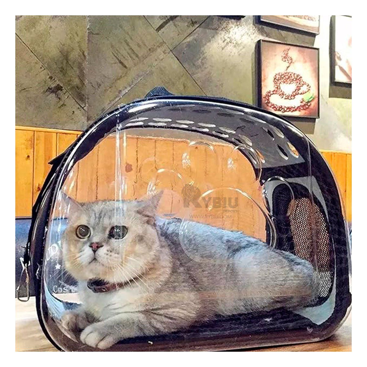 RYBIU IMPORT - Jaula de Transpote de Gato Plomo Y+Regalo Ligas para Peinar