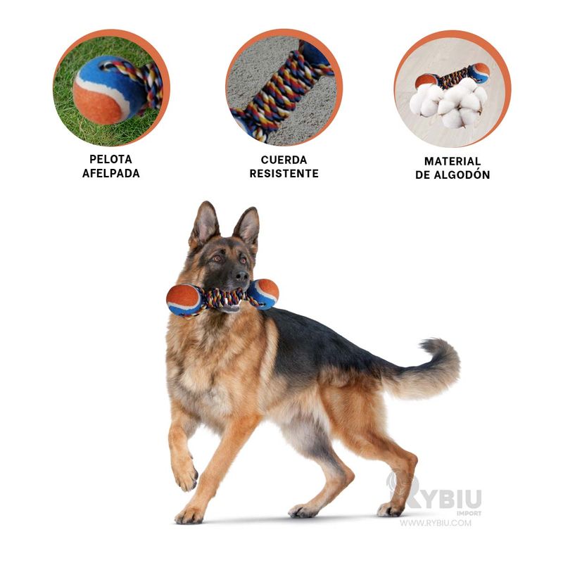 GENERICO - Pelota Duradero para Perros en Tono Naranja Y+Stickers