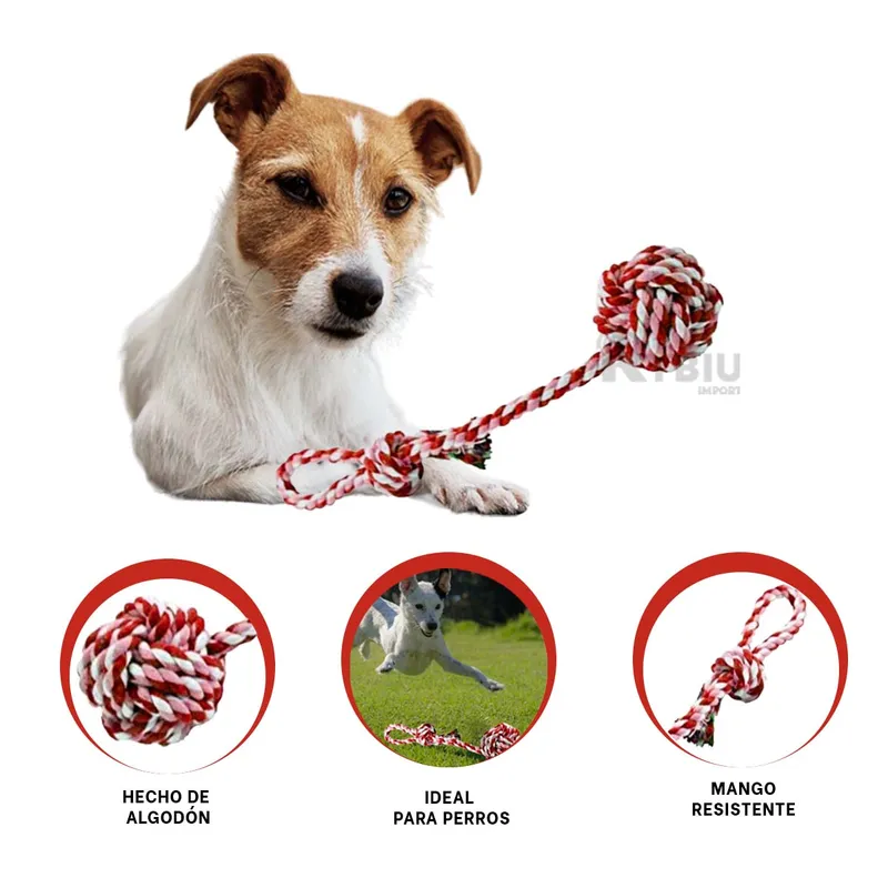 Juego para Perro de Pelota Rosado y Rojo Y+Post-it adhesivos