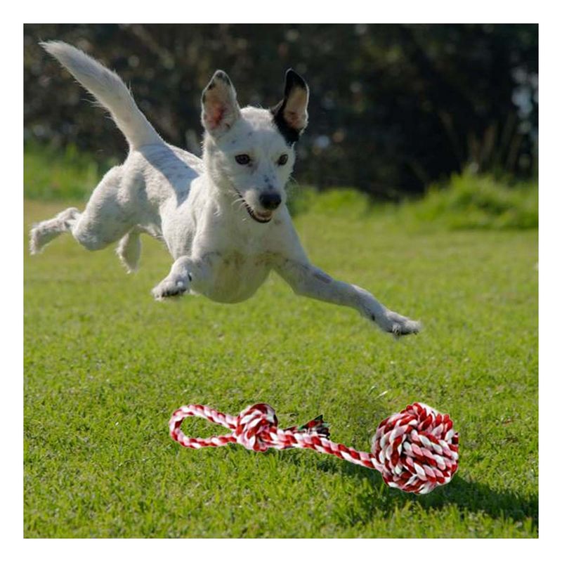 GENERICO - Juguete Moderno con Pelota Rosado con Rojo Y+Stickers