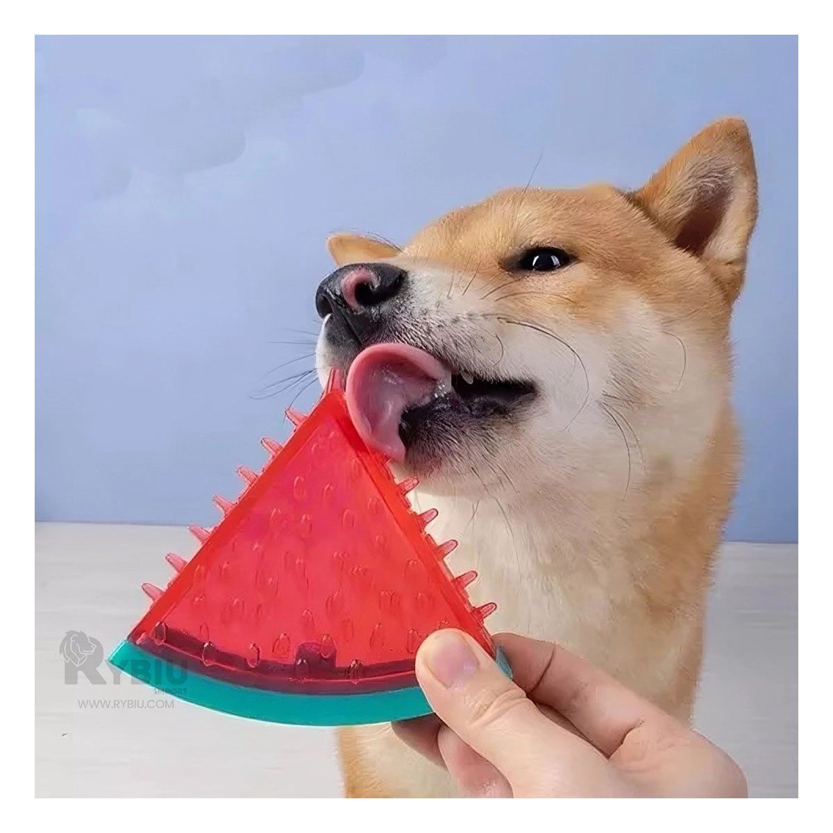 GENERICO - Elemento Recreativo de Mascotas Tono Rojo Y+Regalo Agendita