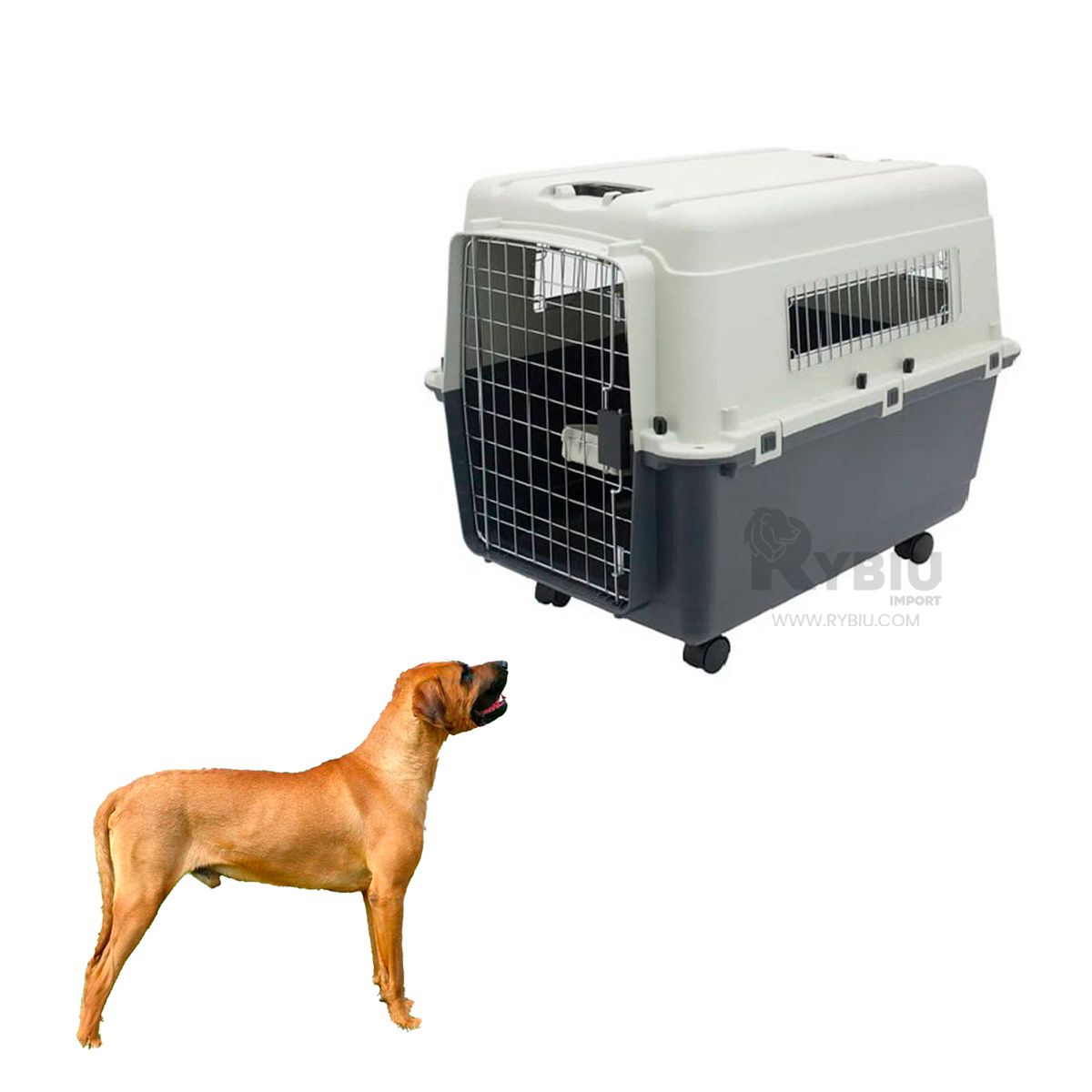 RYBIU IMPORT - Contenedor para Viaje de Perro L120 Plomo Oscuro Y+Agendita