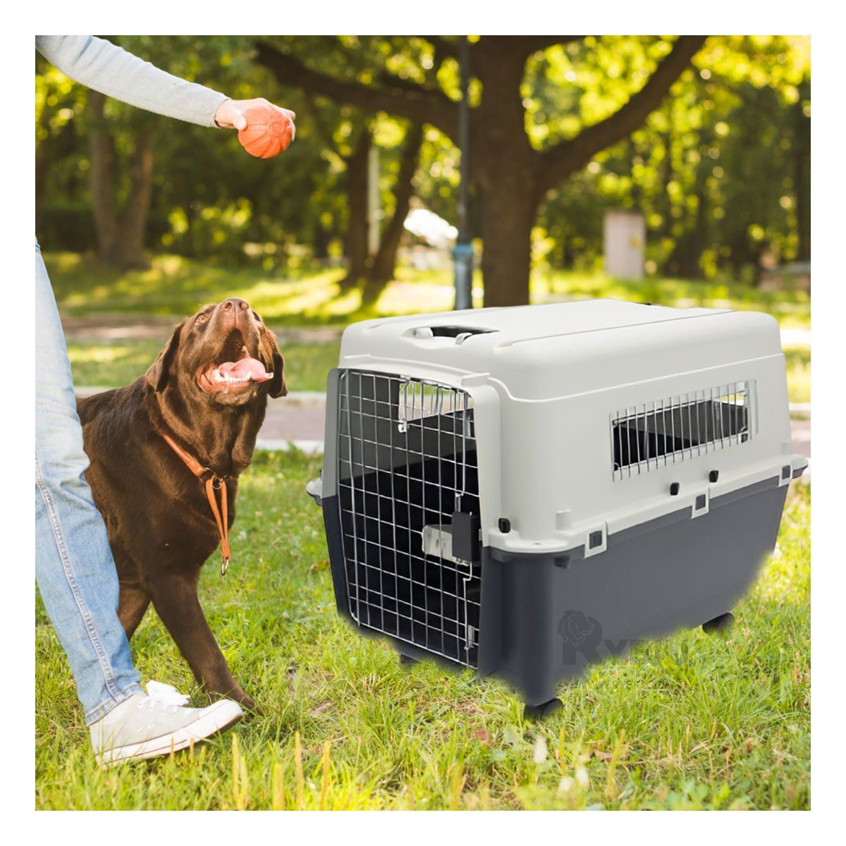 GENERICO - Contenedor de Mascota Seguro L120 Plomo Oscuro Y+MiniAgenda