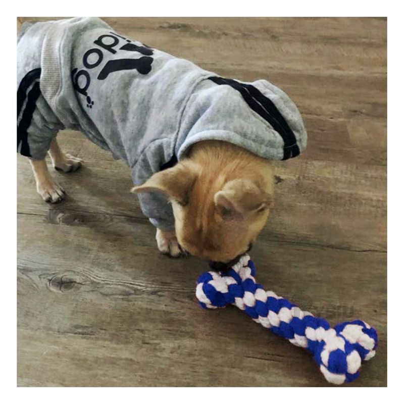 GENERICO - Juguete Resistente en Forma de Hueso para Perros Color Azul