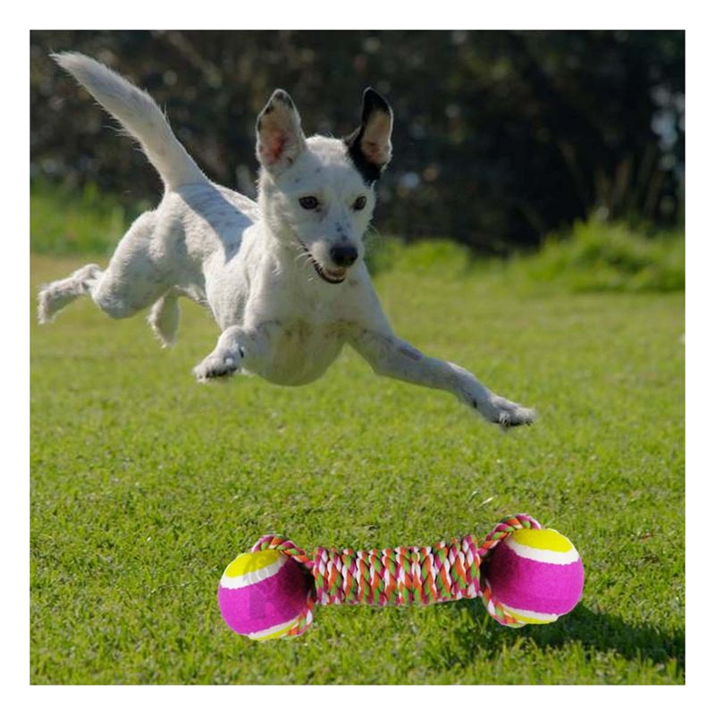 GENERICO - Juguete de Cuerda y Pelota en Tono Rosado Y+Papel de Regalo