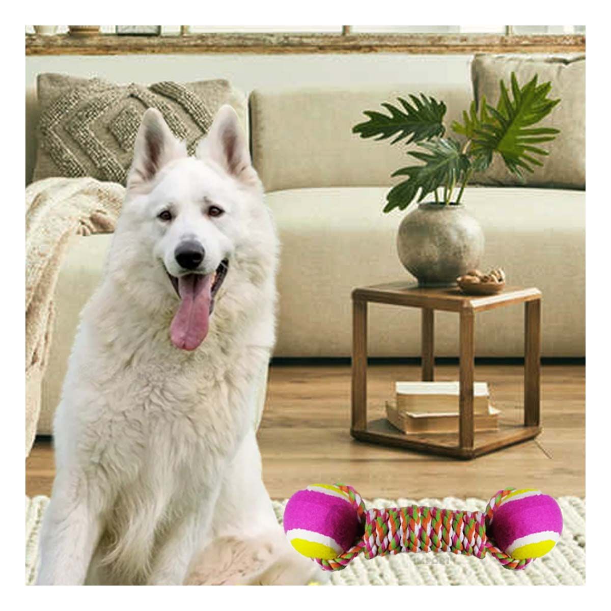 GENERICO - Juguete de Cuerda y Pelota en Tono Rosado Y+Papel de Regalo