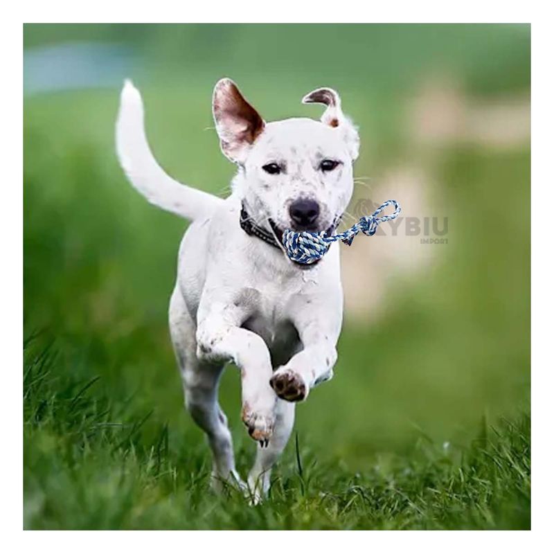 GENERICO - Juguete con Pelota y Soga con Agarradera Azul con Celeste