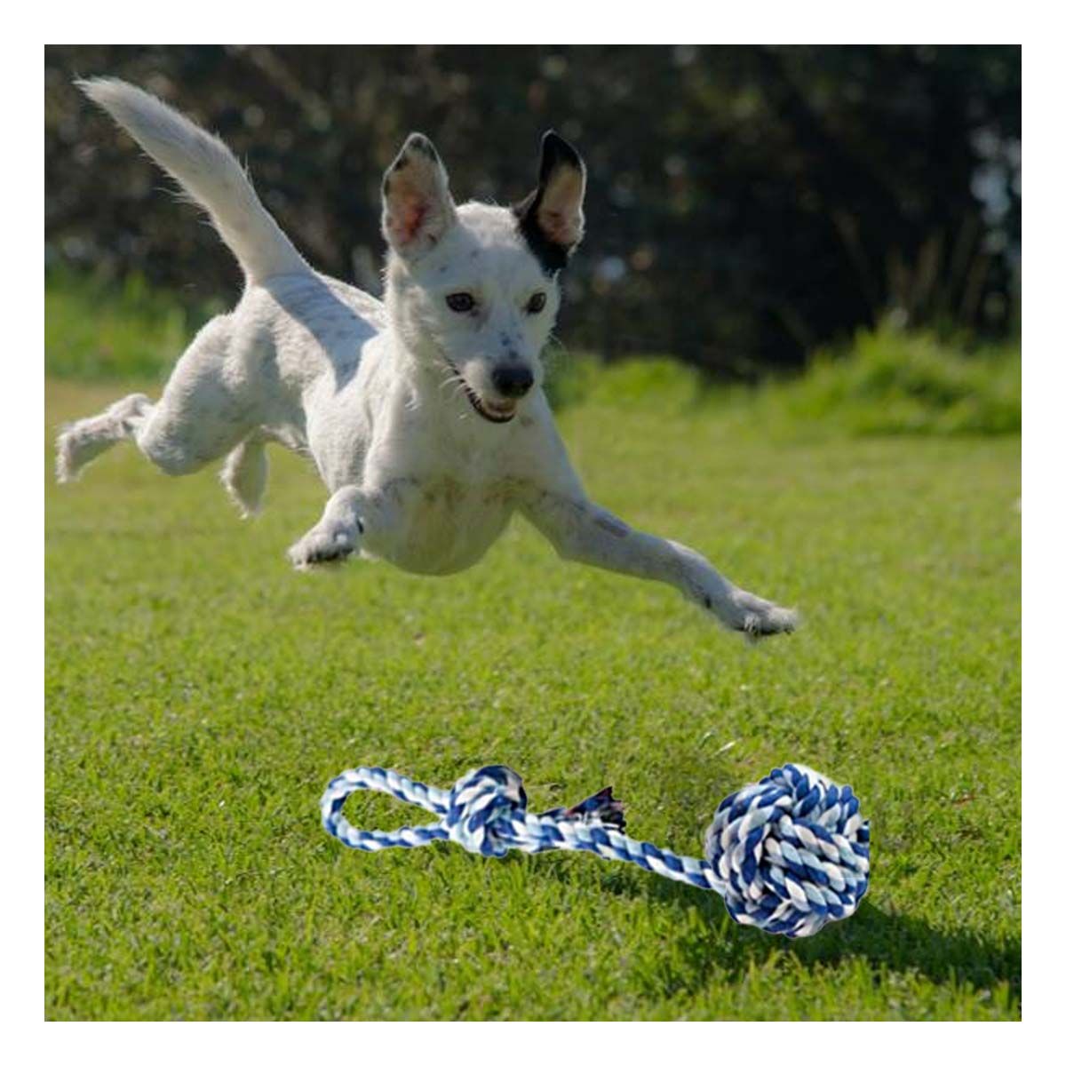 GENERICO - Juguete con Pelota y Soga con Agarradera Azul con Celeste