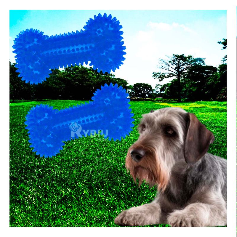 RYBIU IMPORT - Set Practico para Perro en Color Azul Y+Papel de Regalo