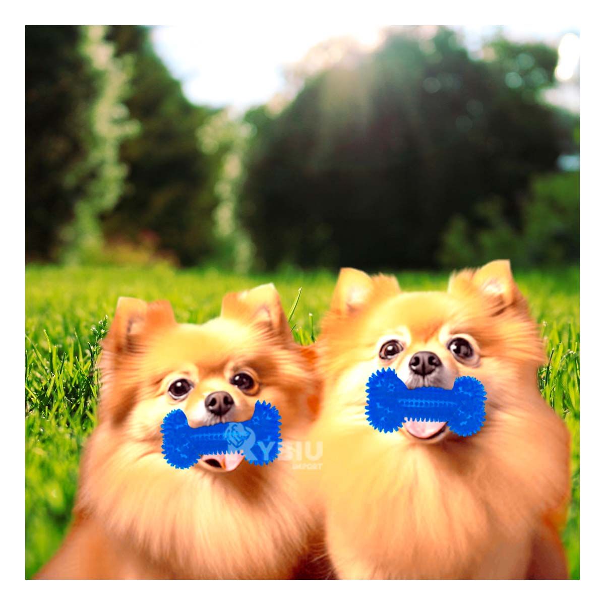 RYBIU IMPORT - Set Divertido de Juguetes de Perros Azul Y+Regalo Agendita