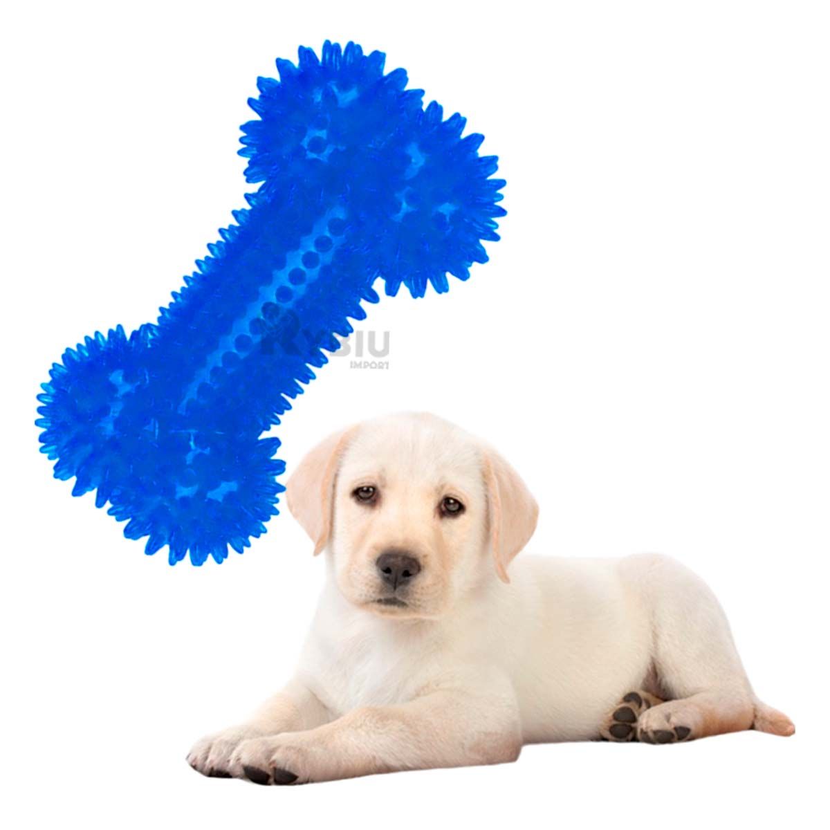 RYBIU IMPORT - Set Divertido de Juguetes de Perros Azul Y+Regalo Agendita