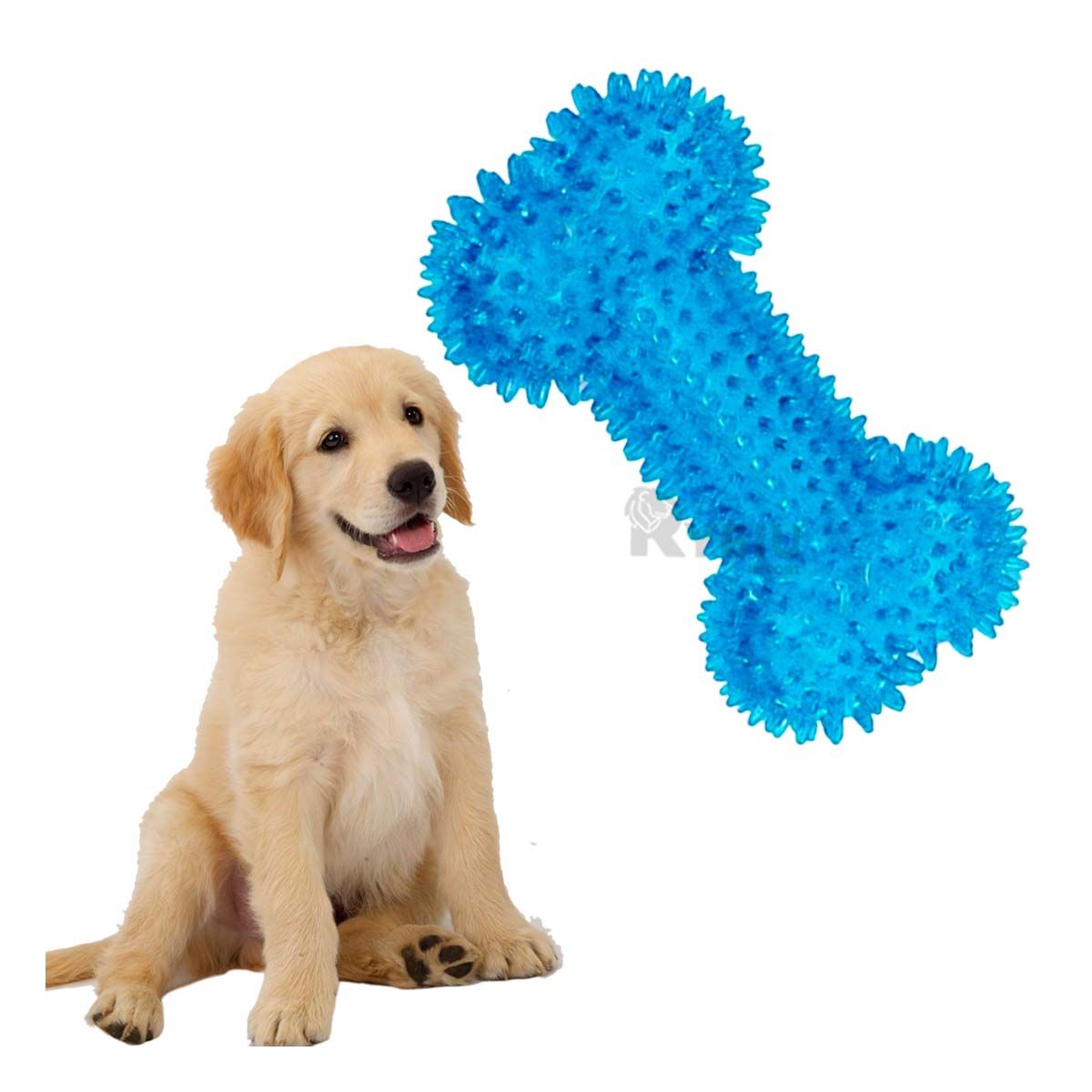 RYBIU IMPORT - Pack Completo Pet con Luces Color Celeste Y+Gift MiniAgenda