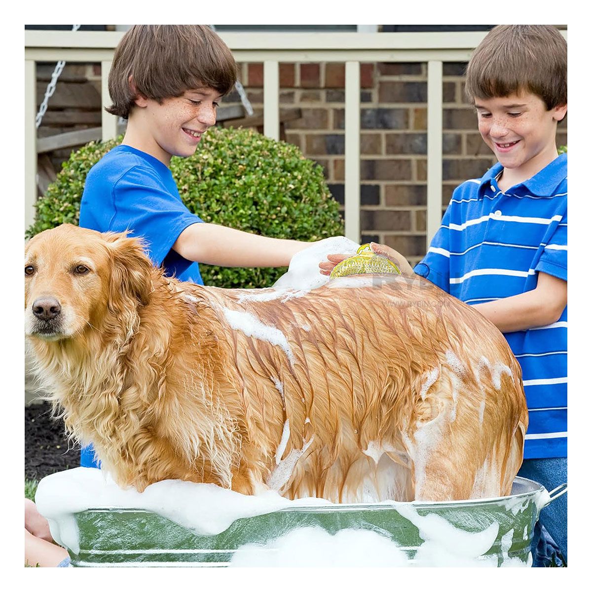 RYBIU IMPORT - Cepillo Flexible para Mascota Amarillo Y+Gift MiniAgenda