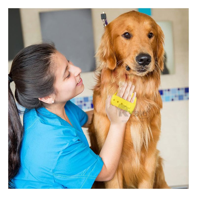 GENERICO - Cepillo para Higiene de Cachorros Amarillo Y+Regalo Stickers