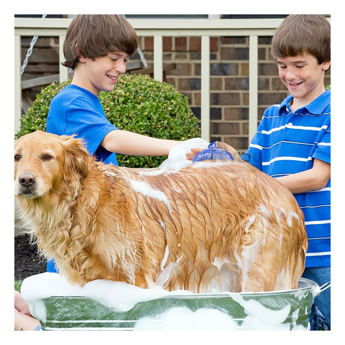 GENERICO - Cepillo Flexible Suave de Mascota Celeste Y+Gift MiniAgenda