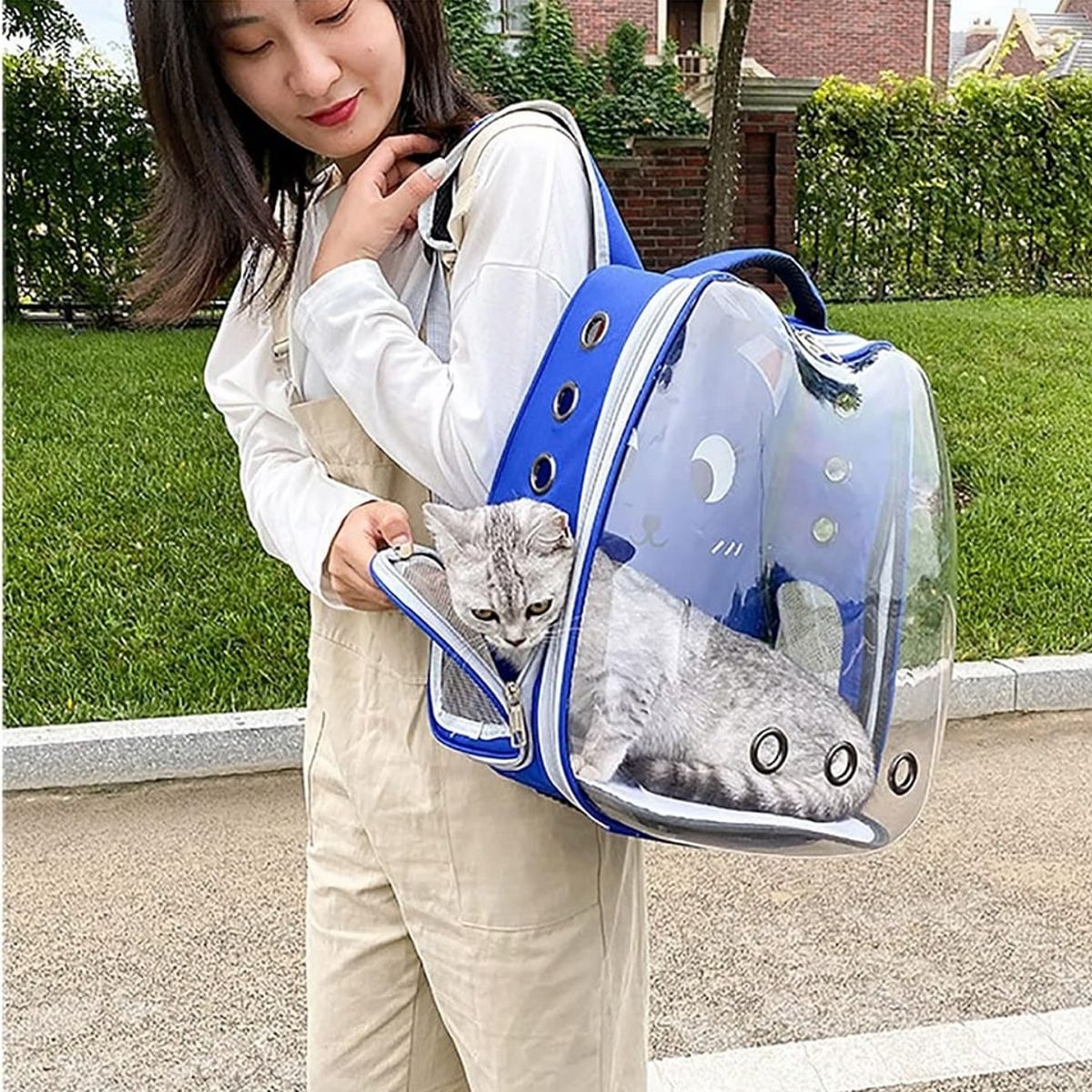 GENERICO - Mochilas para Mascotas para Perros y Gatos Color Azul