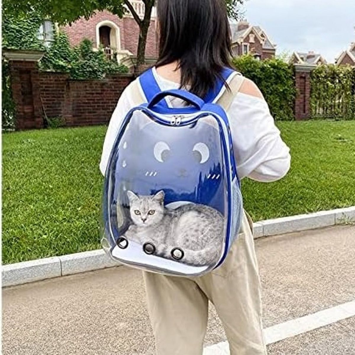 GENERICO - Mochilas para Mascotas para Perros y Gatos Color Azul