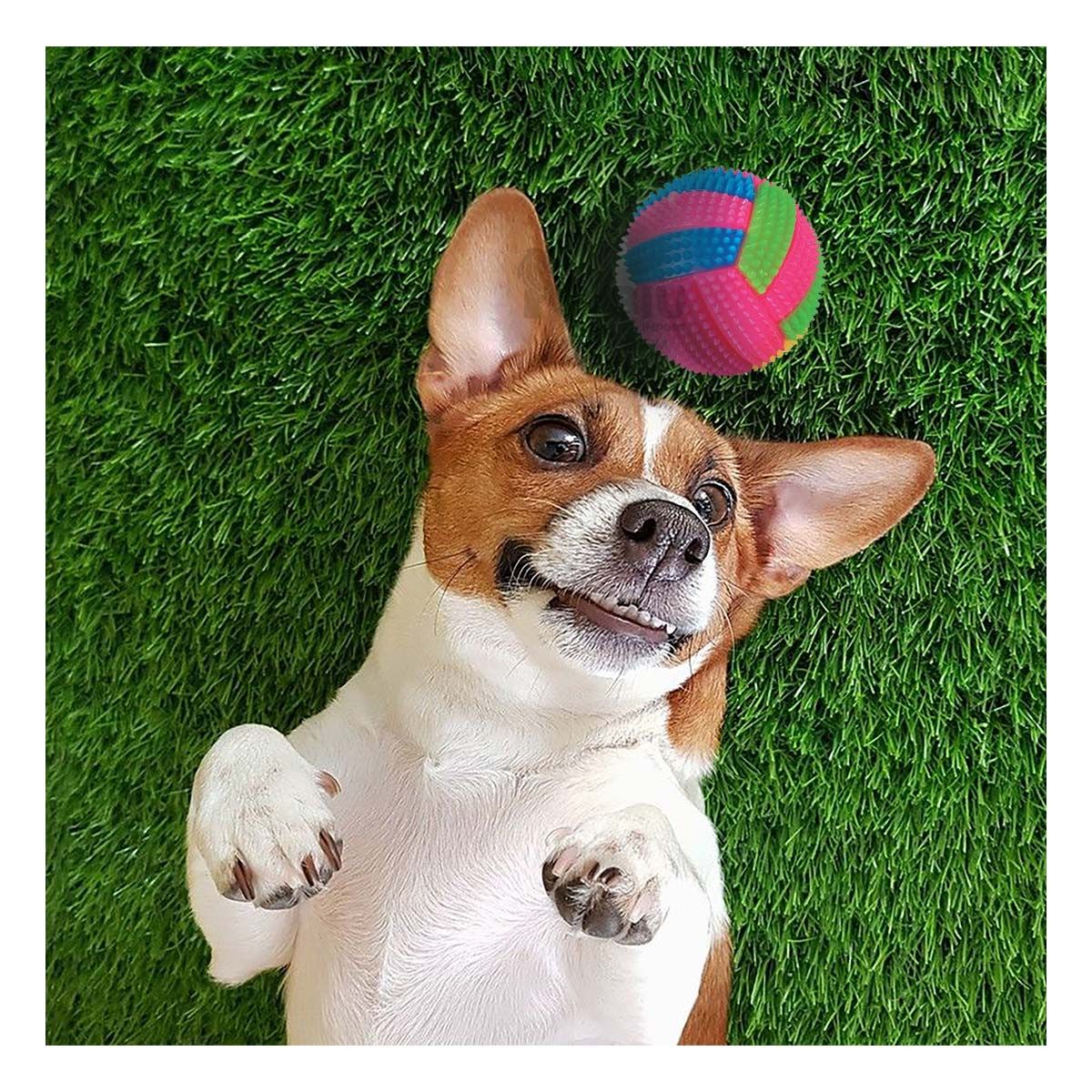 GENERICO - Bola Divertida y Activa RosadoY+Envoltorio de Regalo