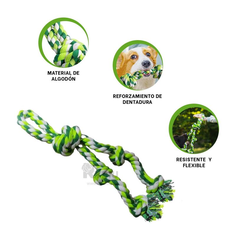 GENERICO - Accesorio para Cachorros en Verde Y+Envoltorio de Regalo