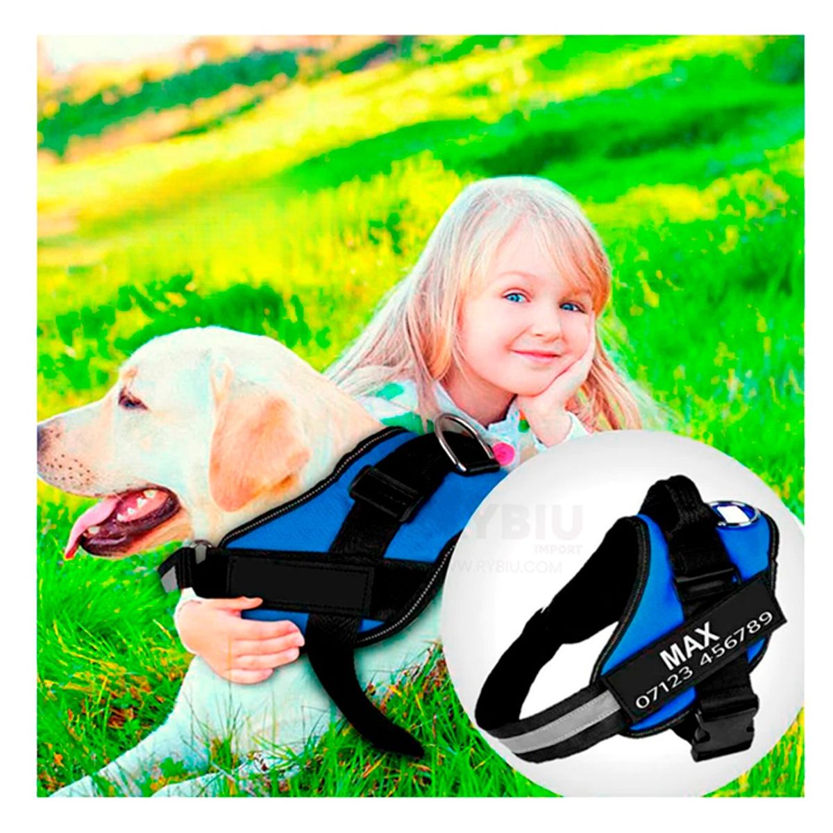 RYBIU IMPORT - Pechera Canina Talla XL en Azul Y+Banderitas Adhesivas