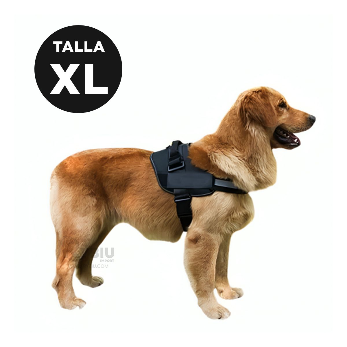 RYBIU IMPORT - Pechera Canina TXL en Tono Negro Y+Regalo Ligas para Peinar