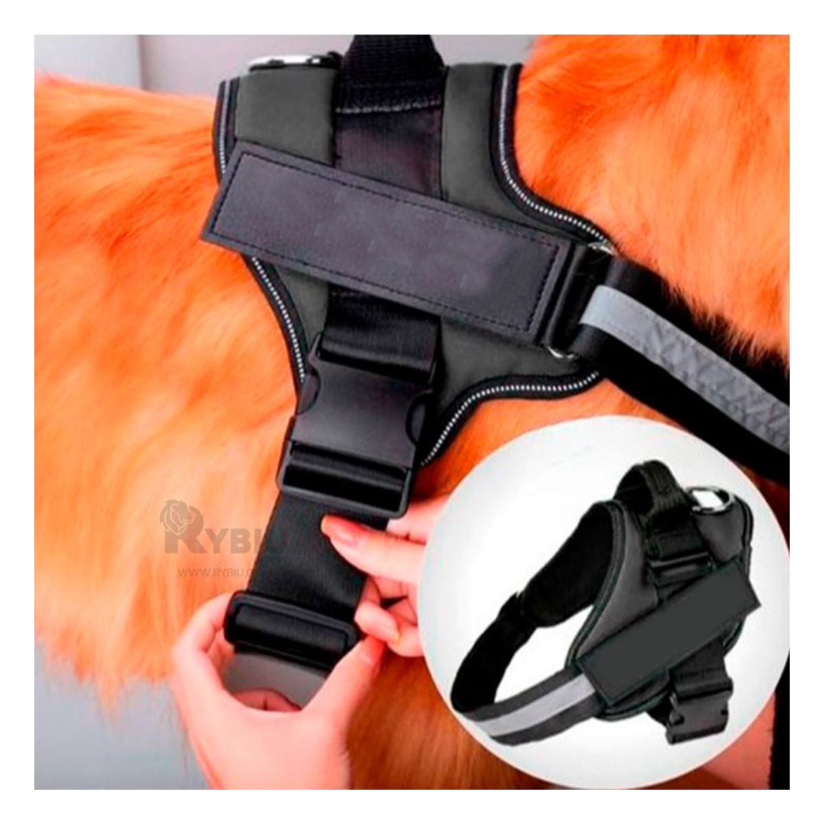 RYBIU IMPORT - Arnes con Correa Talla XL de Tono Negro Y+Regalo Agendita