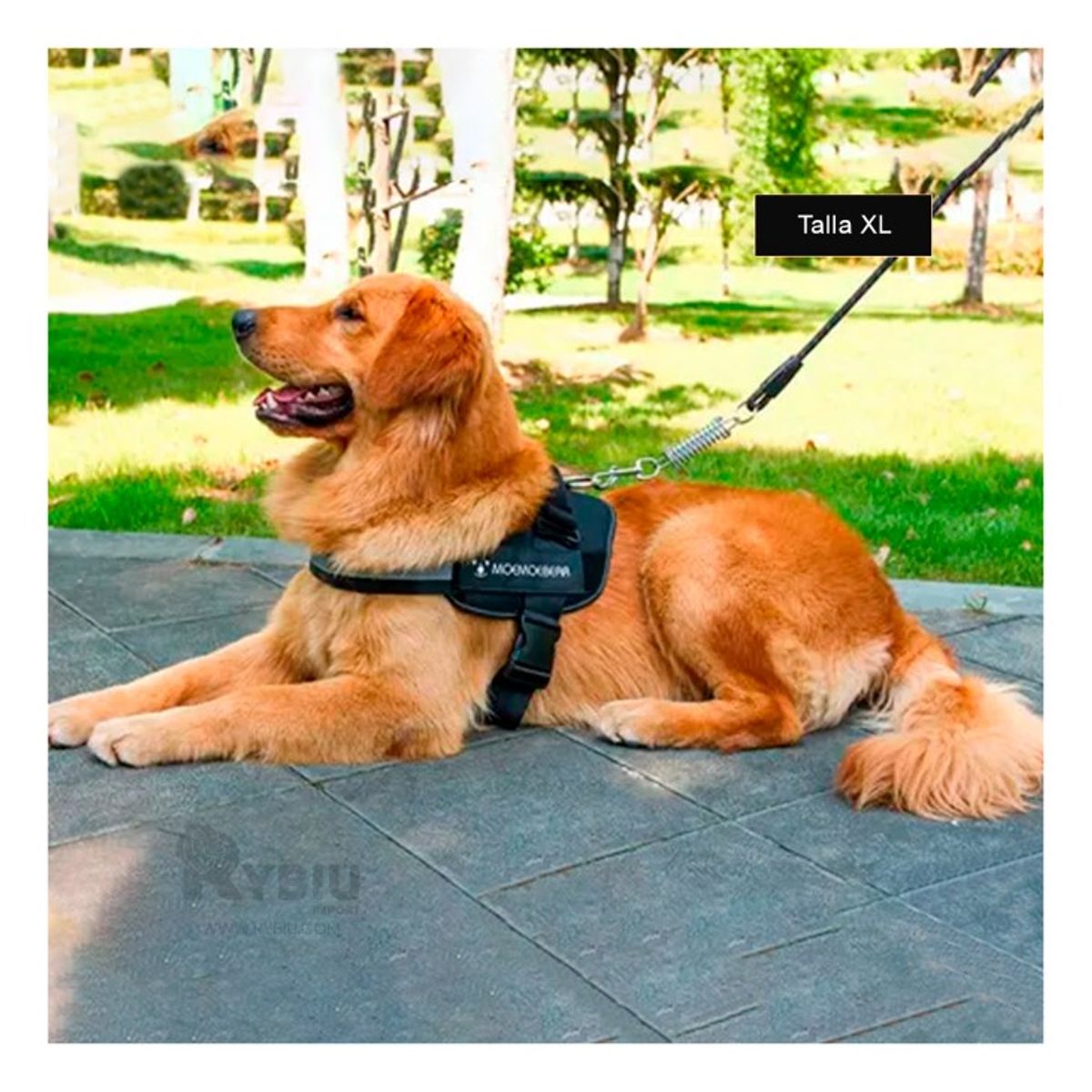 GENERICO - Arnes Pechera Service para Canes Talla XL de Color Negro
