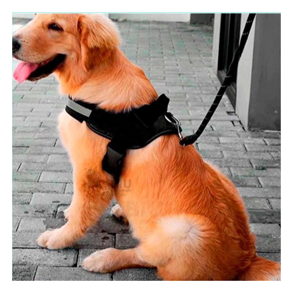 GENERICO - Correa Resistente de Perro Talla XL Negro Y+Gift MiniAgenda