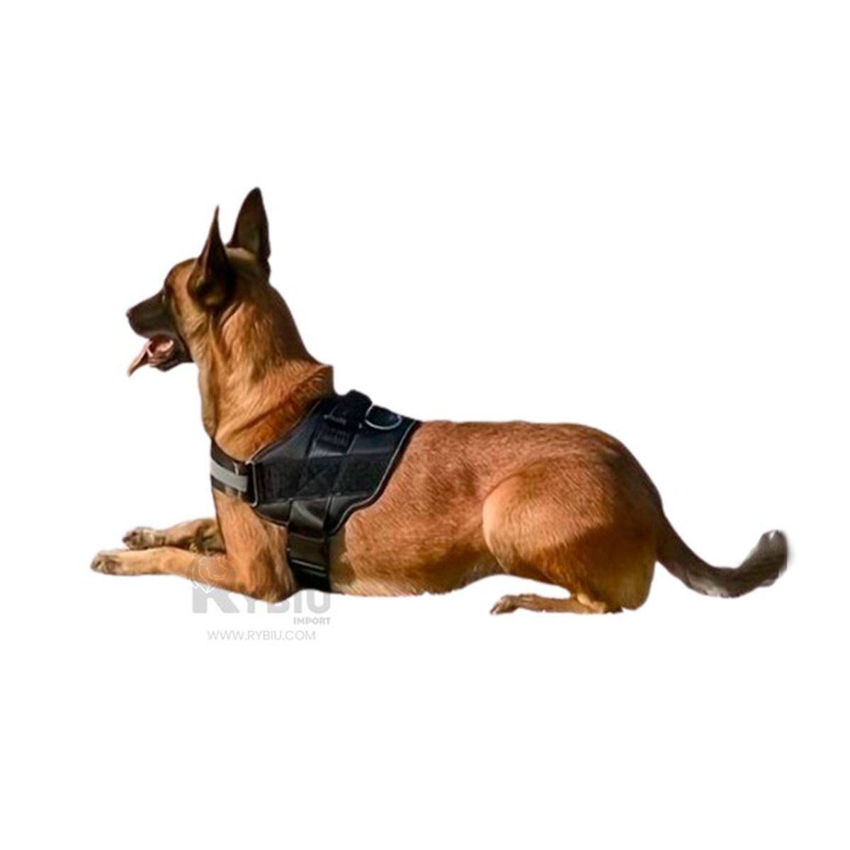 GENERICO - Correa de Diseño Ergonomico Talla XL Negro Y+Regalo Agendita