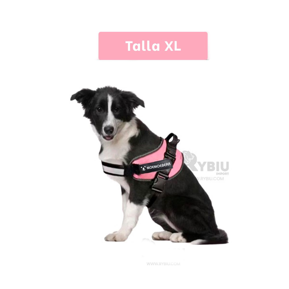 RYBIU IMPORT - Pechera Canina TXL en Tono Rosado Y+Regalo Ligas para Peinar