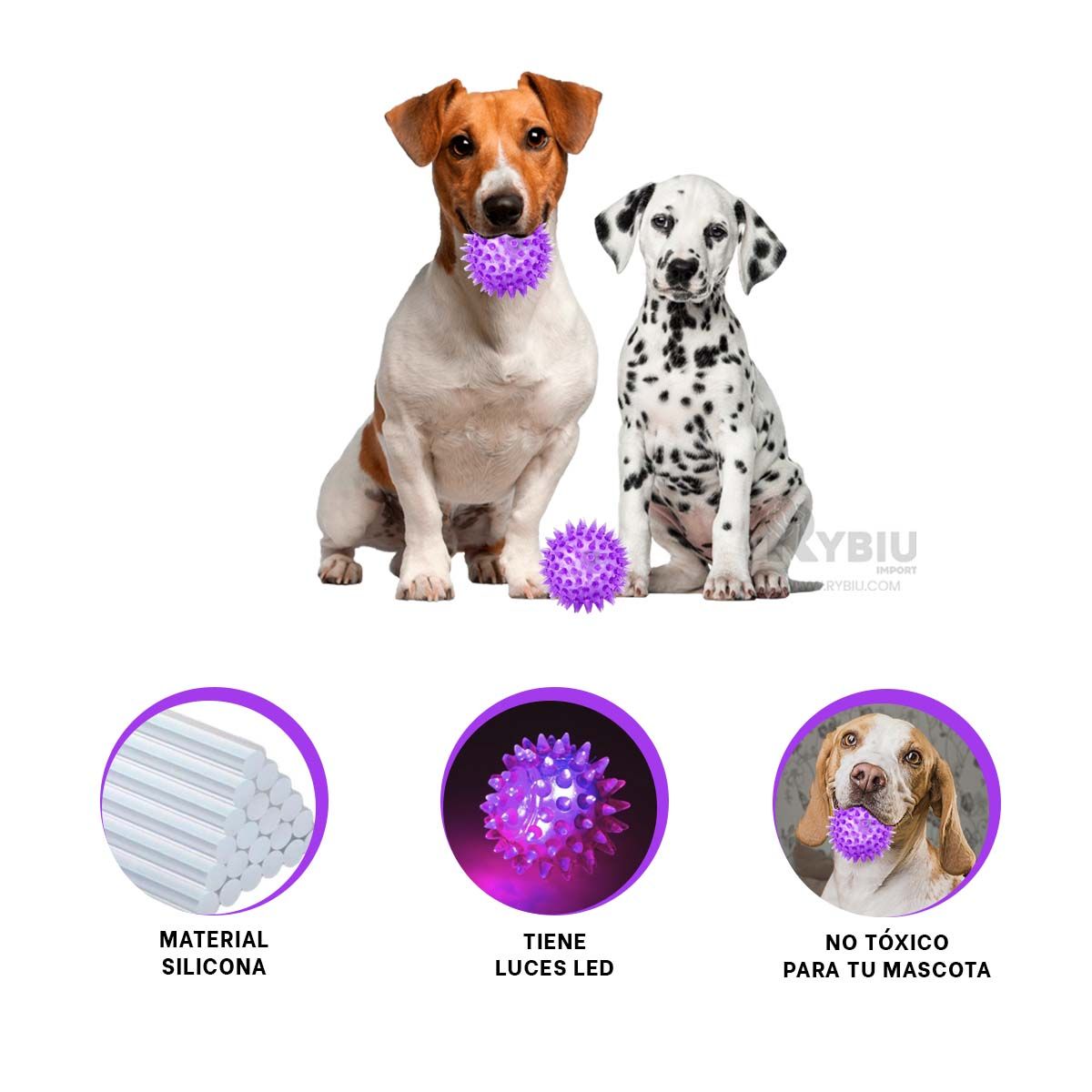 GENERICO - Kit Facil y Sencillo de Usar en Color Morado Y+Gift Stickers