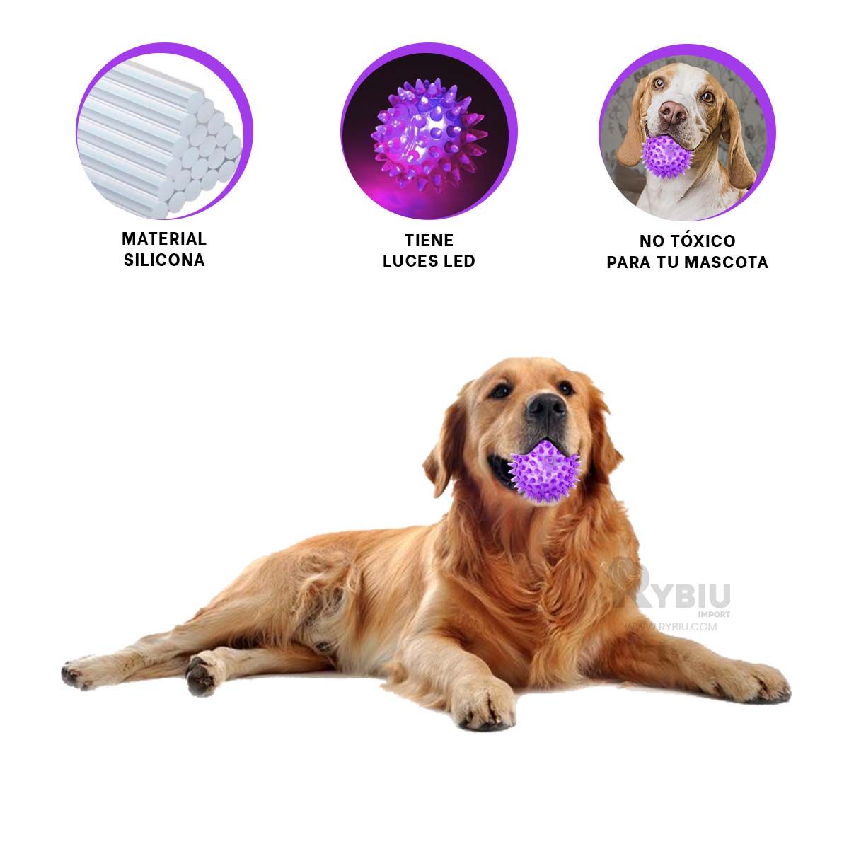 GENERICO - Kit Facil y Sencillo de Usar en Color Morado Y+Gift Stickers