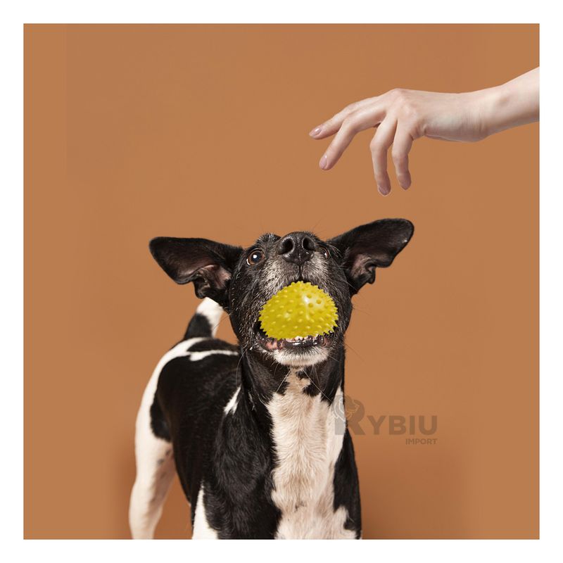 GENERICO - Set x3 Pelotas Luminosos Mordible Amarillo Y+Regalo Agendita