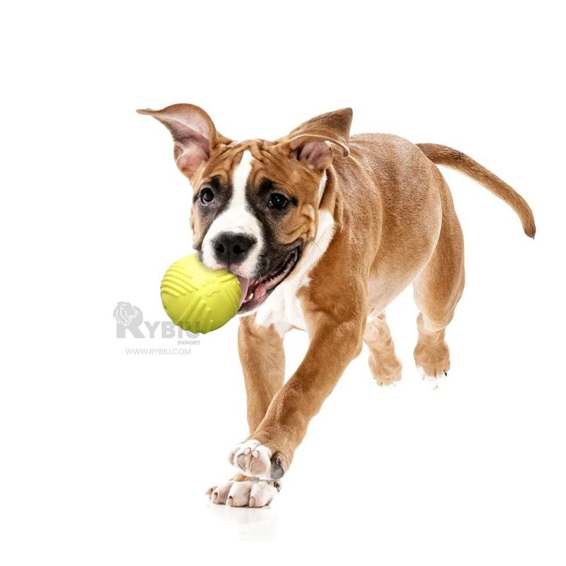 GENERICO - Juguete Canino de Goma en Verde Limon Y+Ligas de Regalo