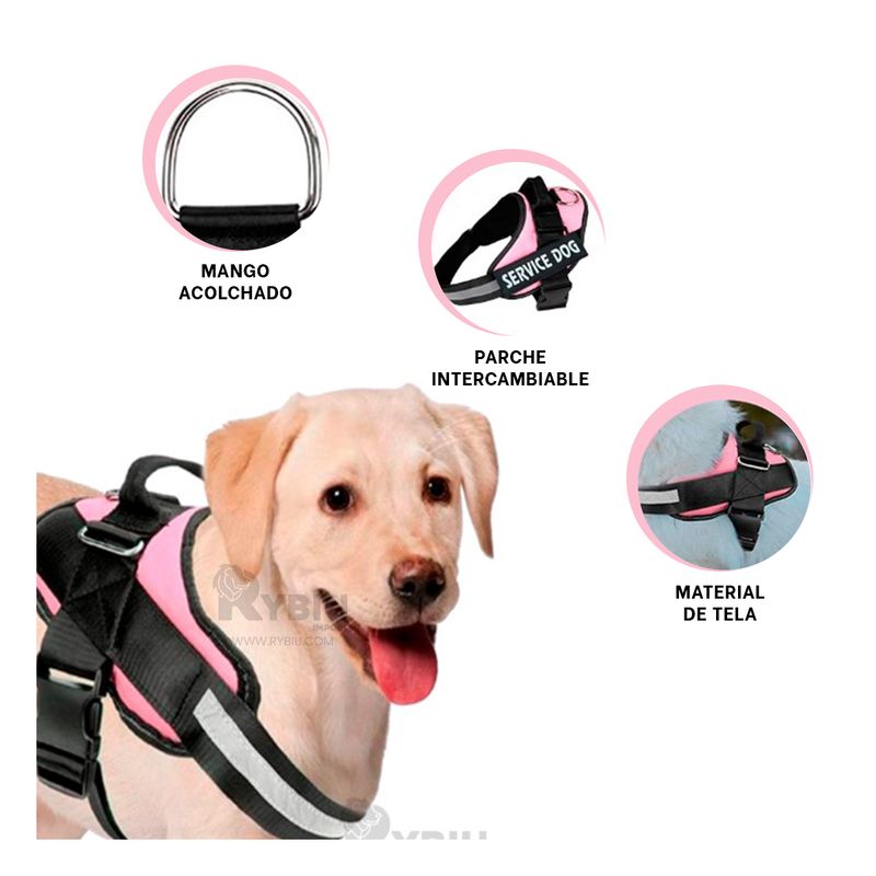 GENERICO - Correa Facil de Retirar Talla XL en Rosado Y+Gift Stickers