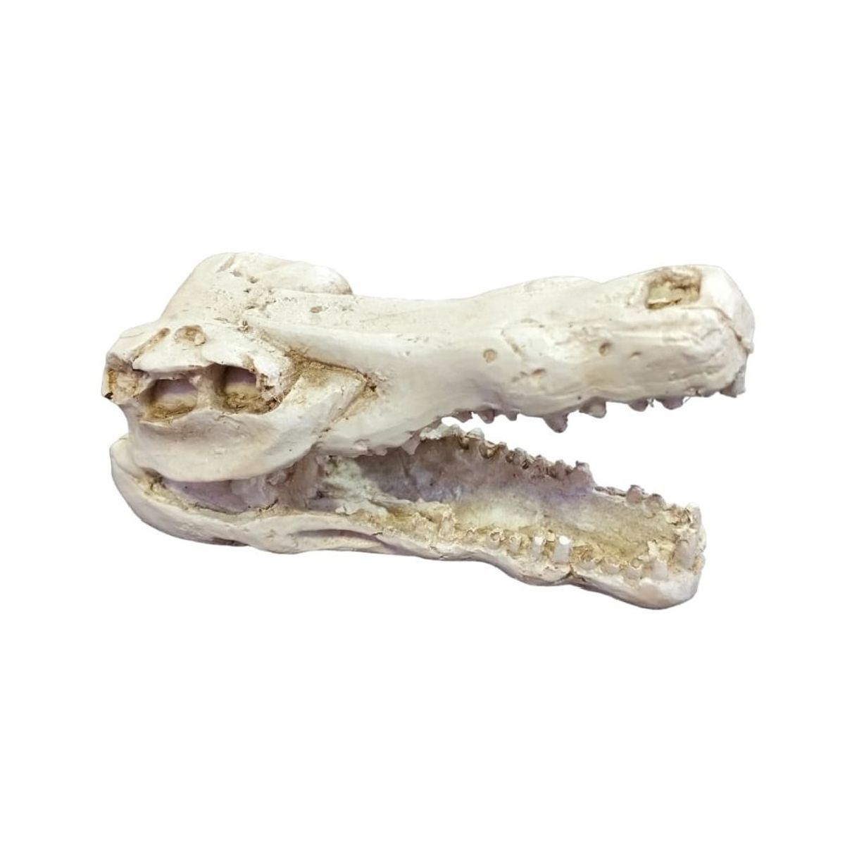 GENERICO - Adorno decorativo cráneo cocodrilo pecera y acuario