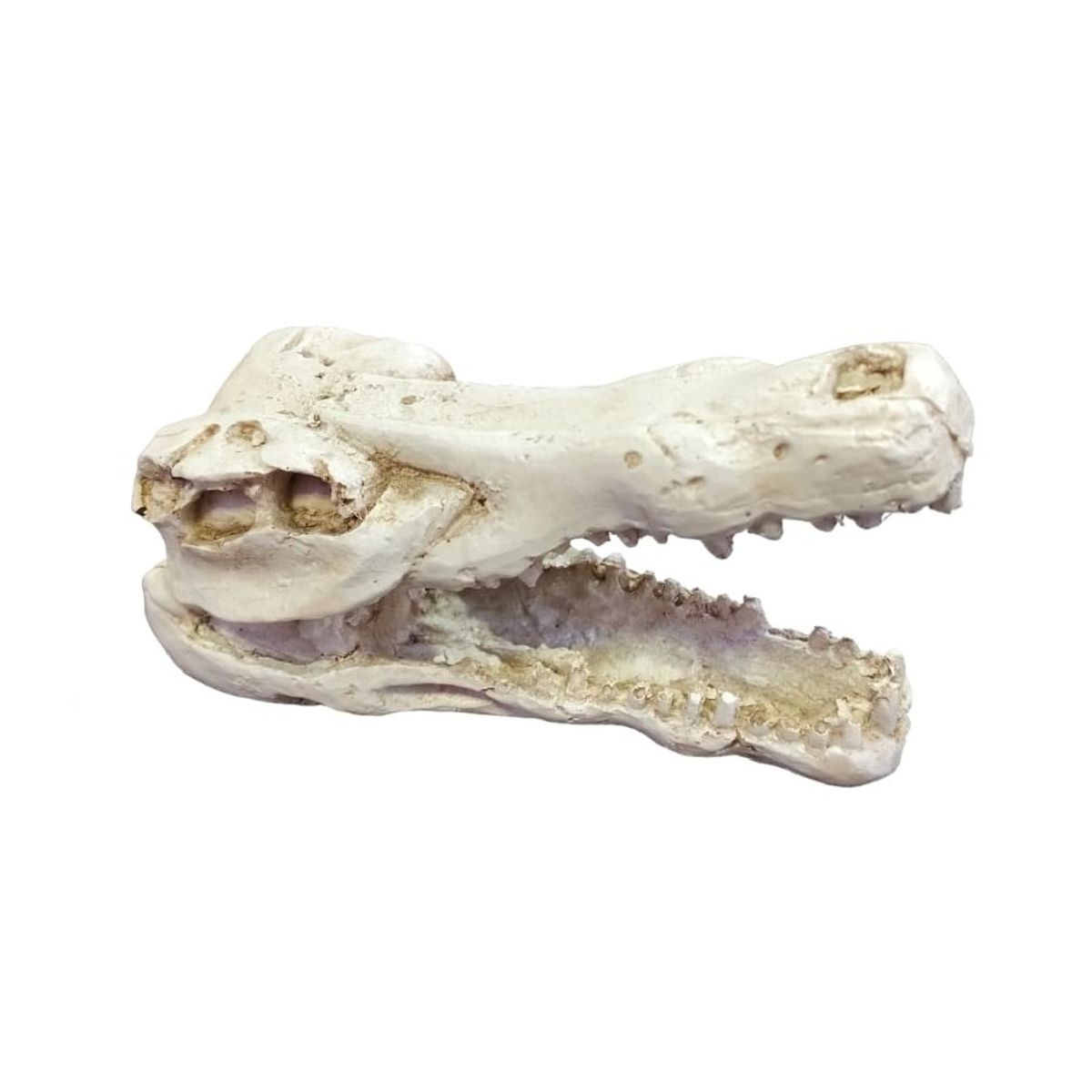 GENERICO - Adorno decorativo cráneo cocodrilo pecera y acuario