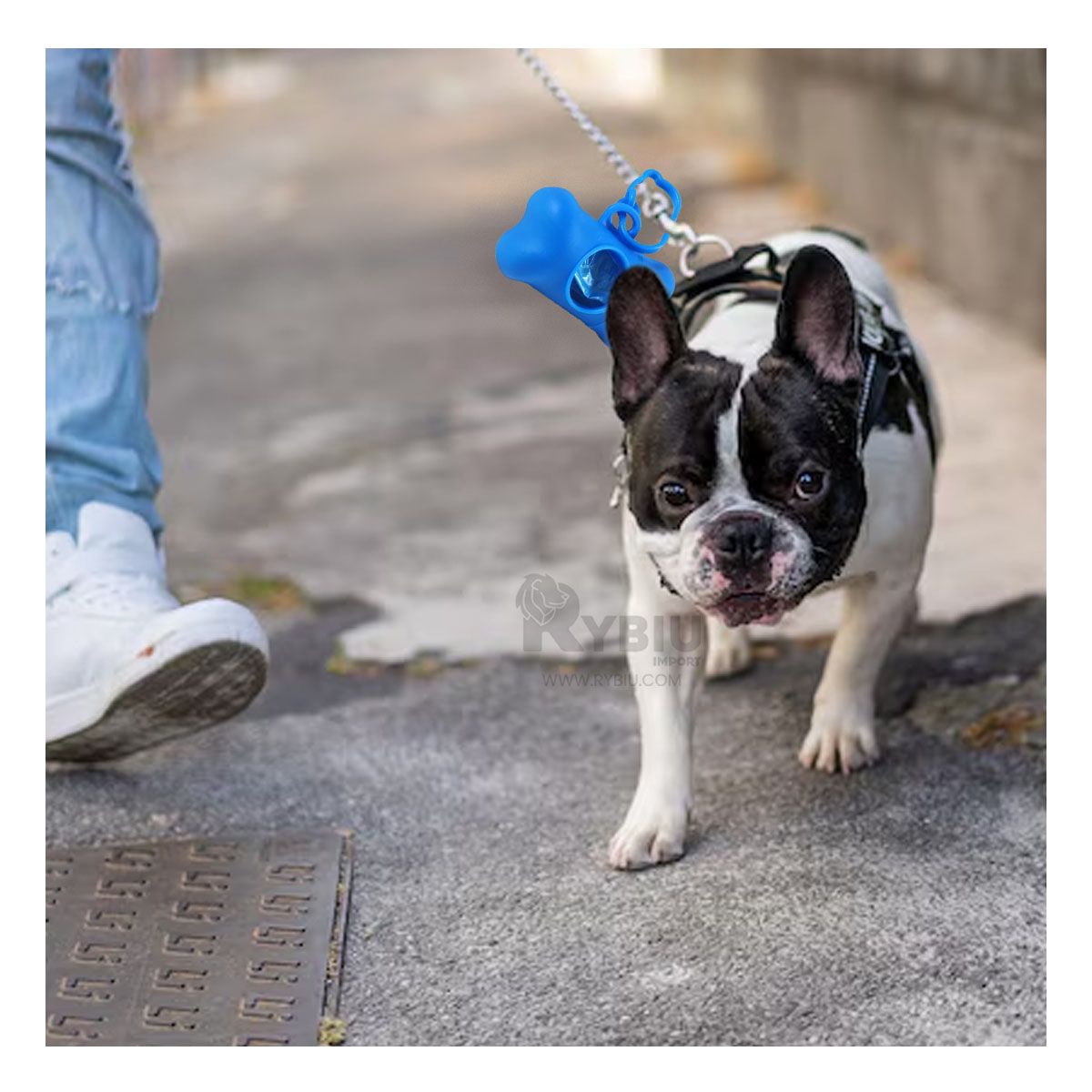 GENERICO - Envase para Limpiar Residuos de Perro Azul Y+Regalo Agendita