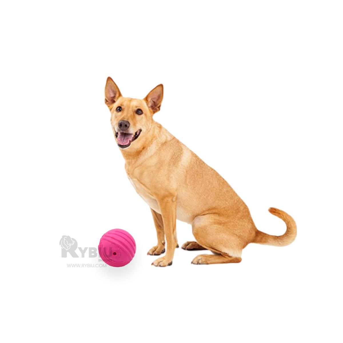 RYBIU IMPORT - Juguete para la Ansiedad para Perros en Rosado Y+Agendita