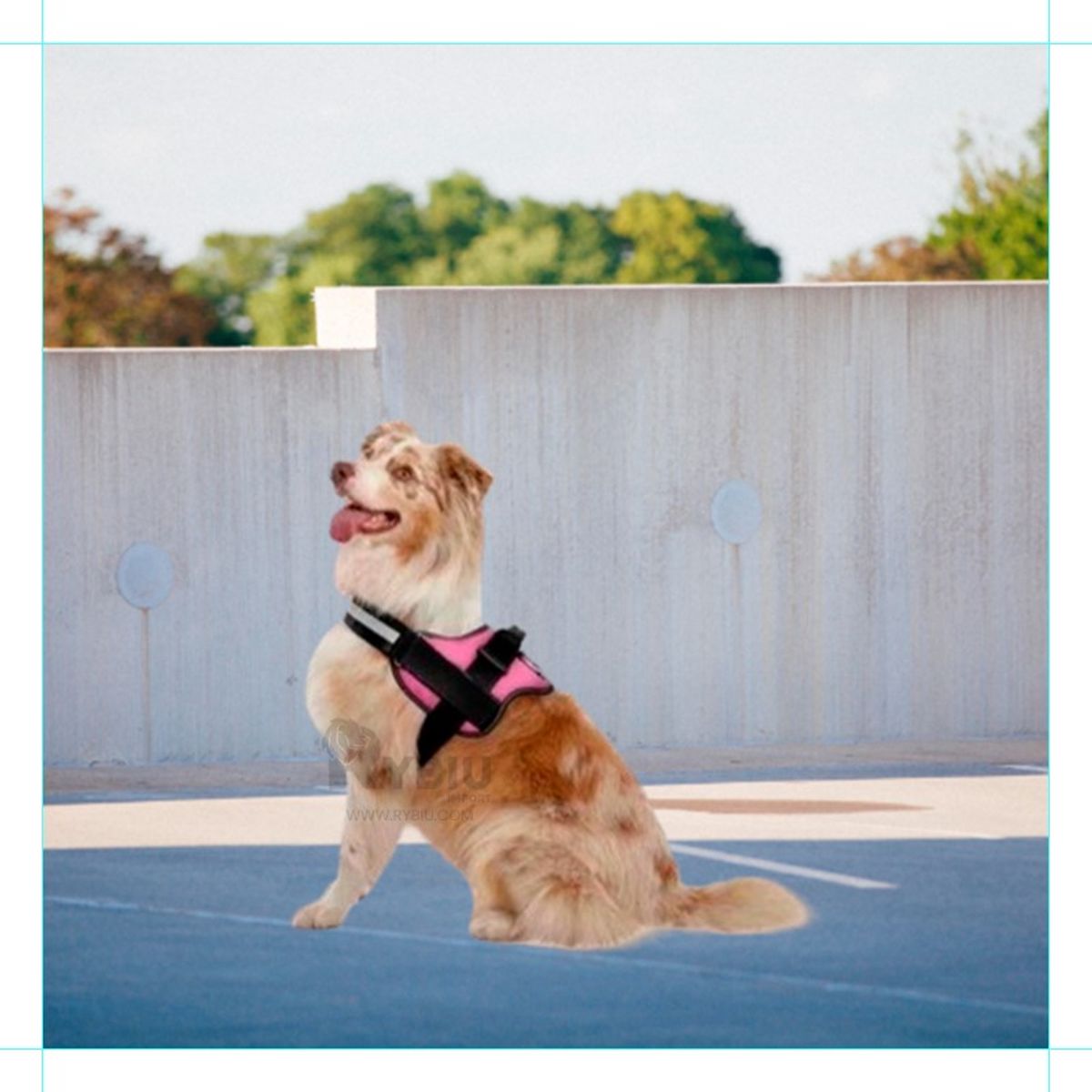 GENERICO - Arnes Pechera Service para Canes Talla XL de Color Rosado