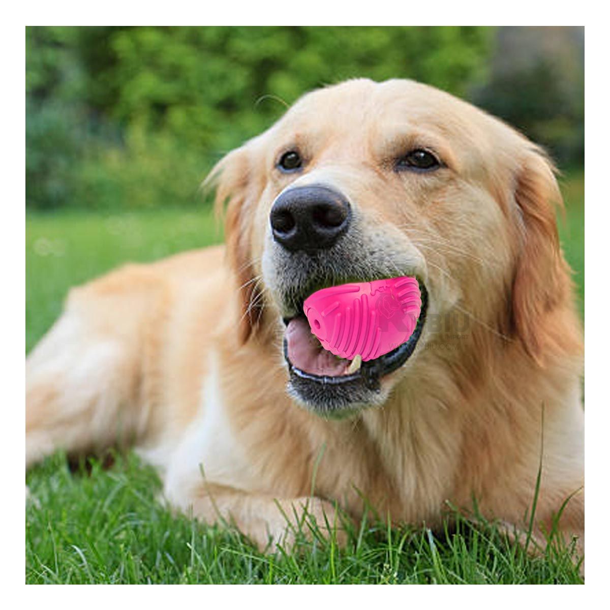 GENERICO - Pelota para Perros Antiestres de Goma en Rosado Y+Agendita