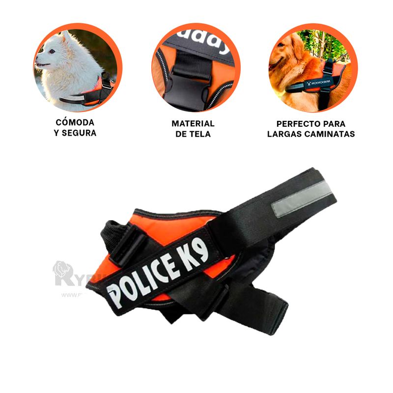 RYBIU IMPORT - Arnes de Seguridad en Anaranjado XXL Y+Regalo Agendita