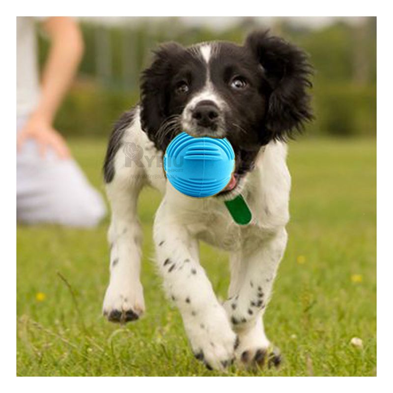 GENERICO - Pelota Relajante de Mascotas Celeste Y+Papel de Regalo