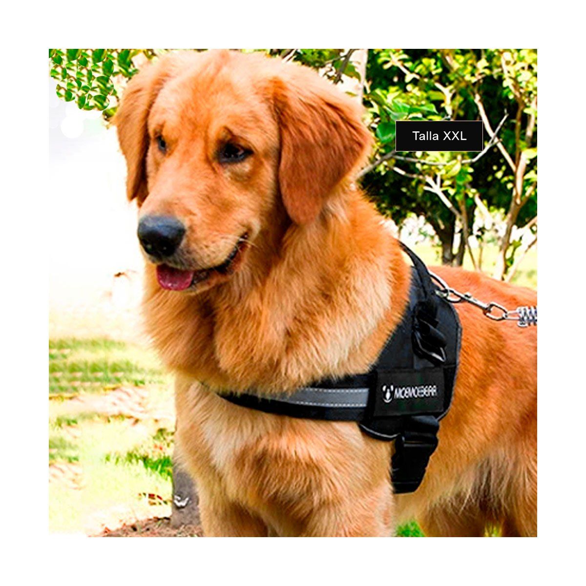 RYBIU IMPORT - Pechera de Seguridad para Can en Negro XXL Y+Regalo Stickers