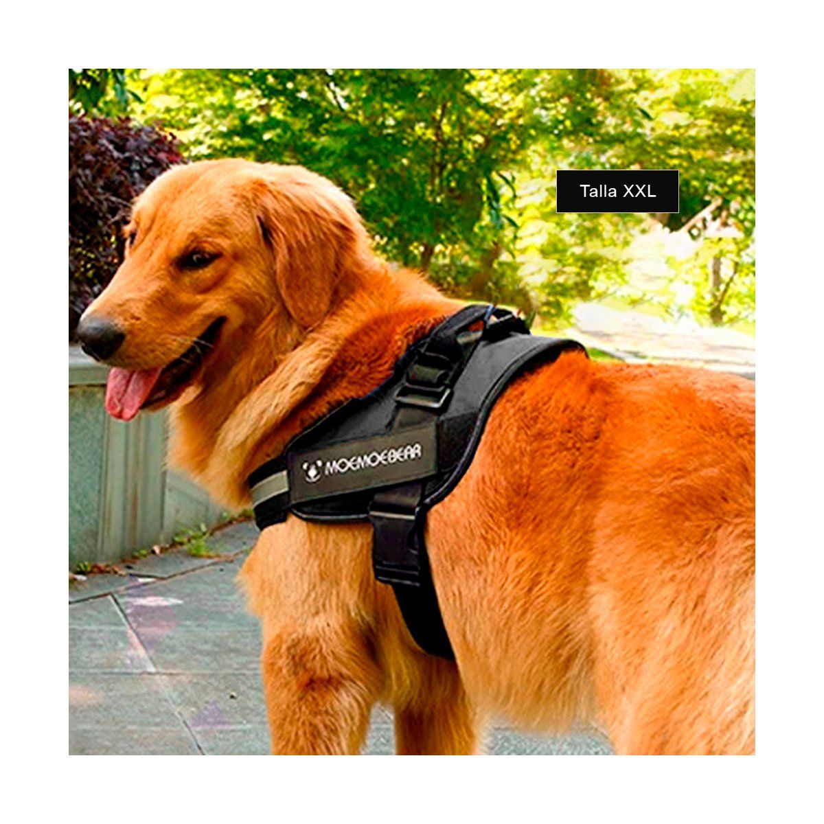 RYBIU IMPORT - Pechera Grande en Color Negro en XXL Y+Papel de Regalo