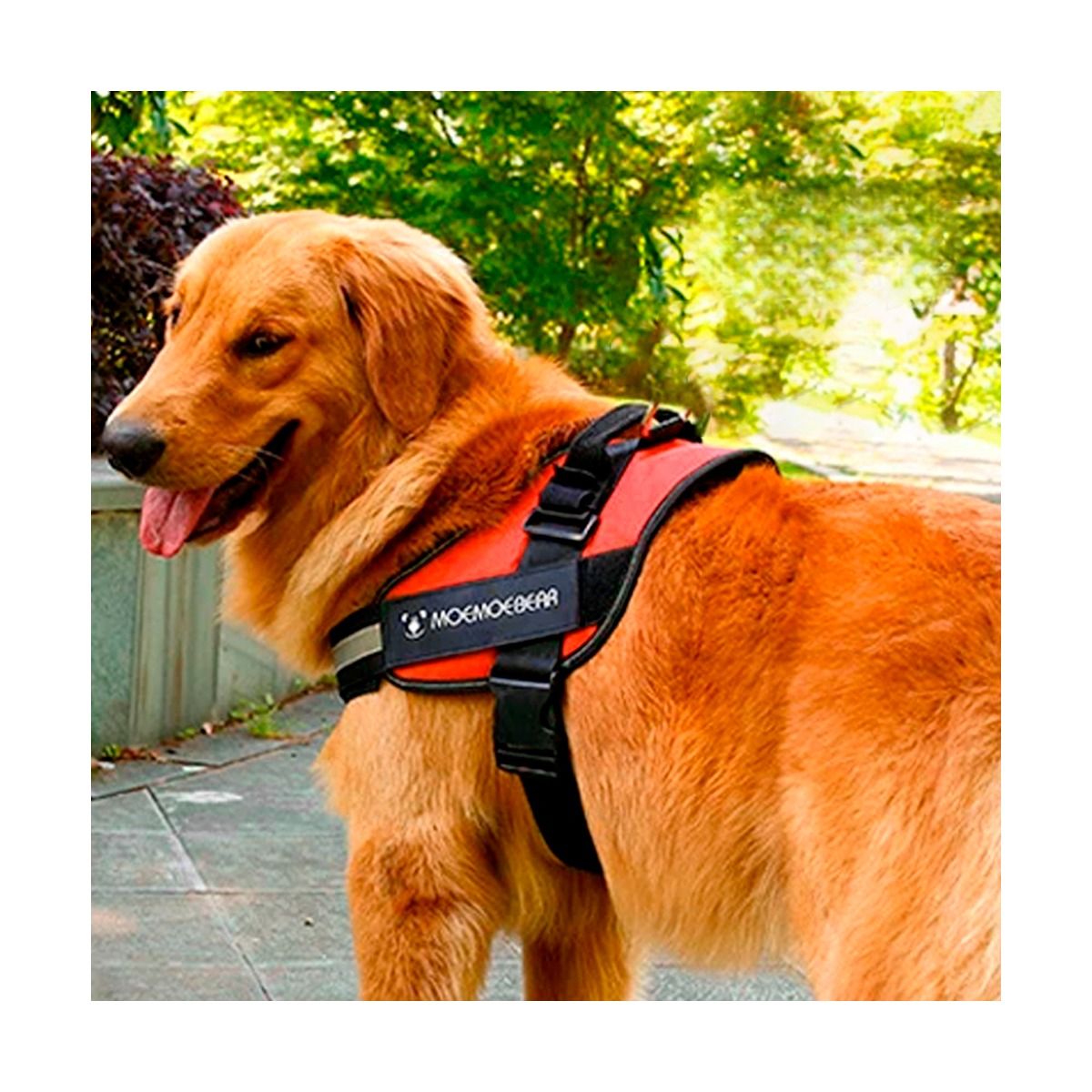 GENERICO - Pechera para Perro Service en Anaranjado XXL